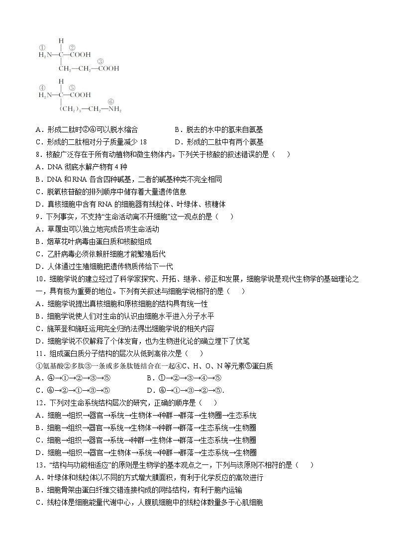 浙江省丽水市“五校高中发展共同体”2024-2025学年高一上学期10月联考生物试题第2页