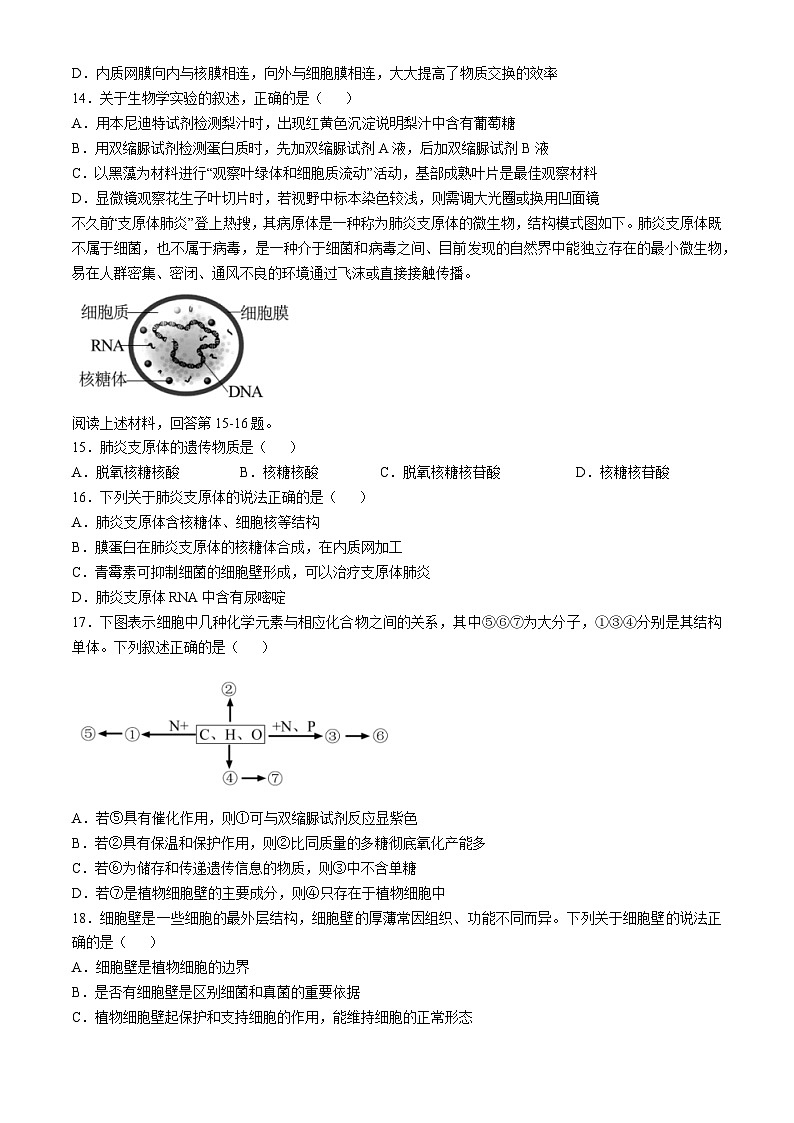 浙江省丽水市“五校高中发展共同体”2024-2025学年高一上学期10月联考生物试题第3页