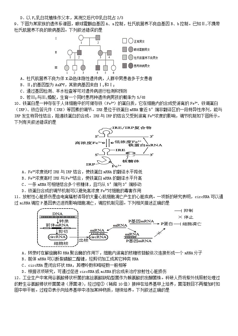 四川省成都市第七中学(高新校区)2024-2025学年高三上学期10月月考生物试题第3页