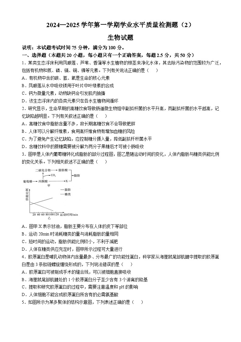 山西省吕梁市孝义市山西省孝义中学校2024-2025学年高三上学期10月月考生物试题第1页