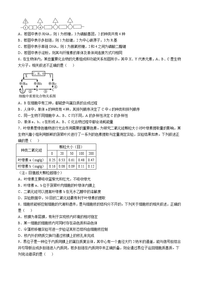 山西省吕梁市孝义市山西省孝义中学校2024-2025学年高三上学期10月月考生物试题第2页
