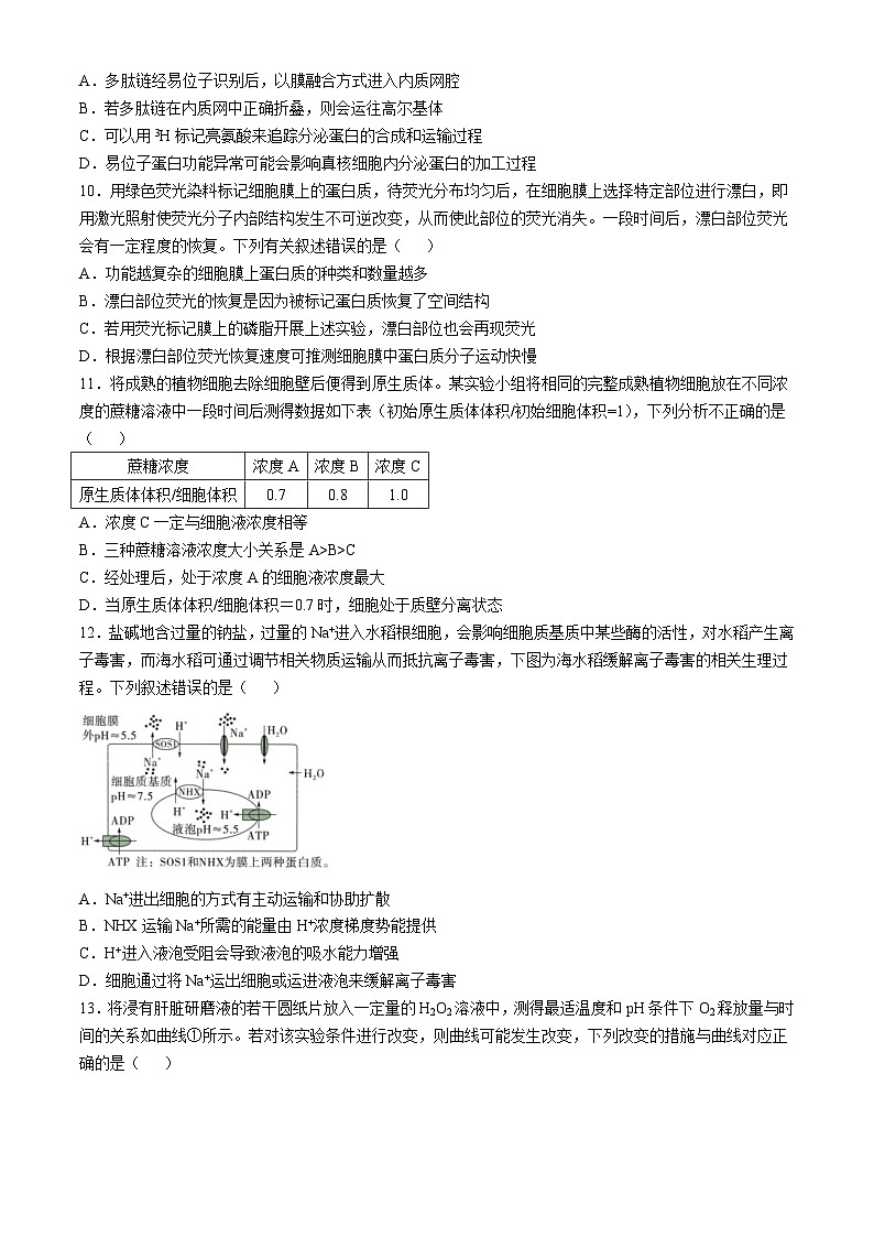 山西省吕梁市孝义市山西省孝义中学校2024-2025学年高三上学期10月月考生物试题第3页