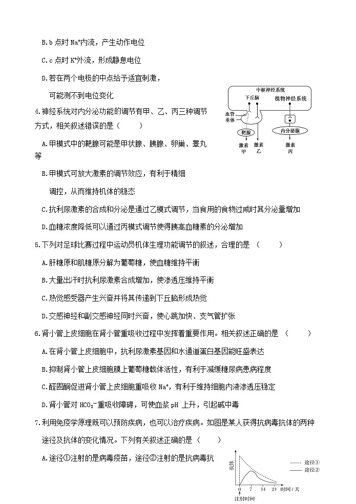 江苏省连云港市灌南县灌南县惠泽高级中学2024-2025学年高二上学期10月月考生物试题02