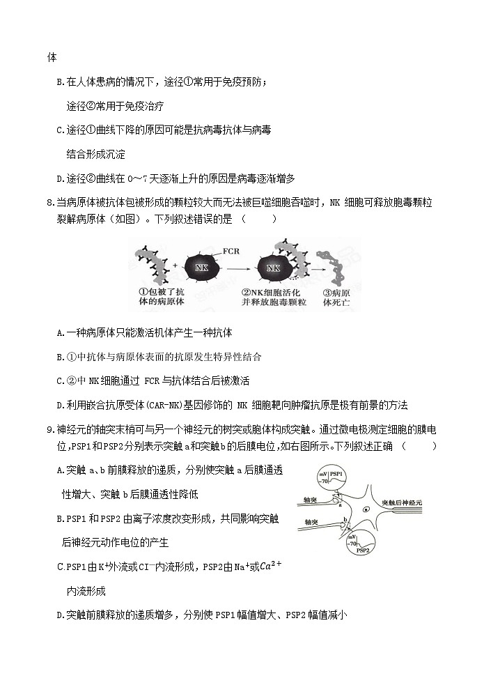 江苏省连云港市灌南县灌南县惠泽高级中学2024-2025学年高二上学期10月月考生物试题03