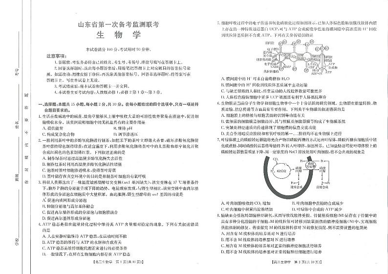2025届山东省高三第一次检测联考生物试题第1页