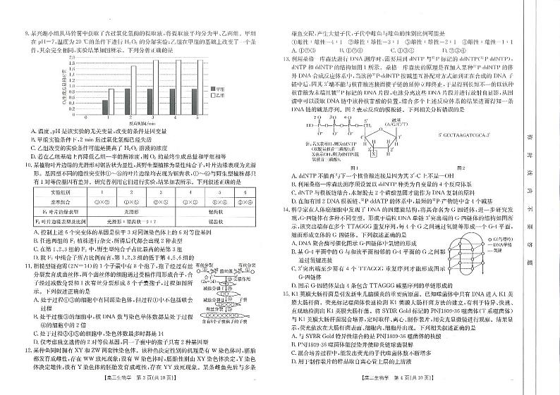 2025届山东省高三第一次检测联考生物试题第2页
