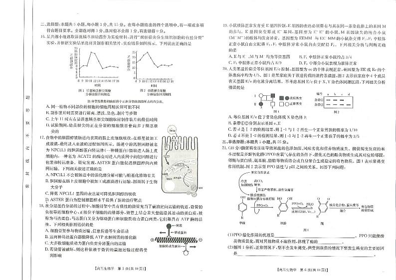 2025届山东省高三第一次检测联考生物试题第3页