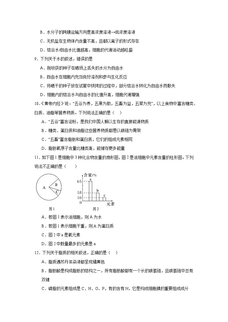 广东省汕头市潮南区龙岭中英文学校2024-2025学年高一上学期10月月考生物试题03