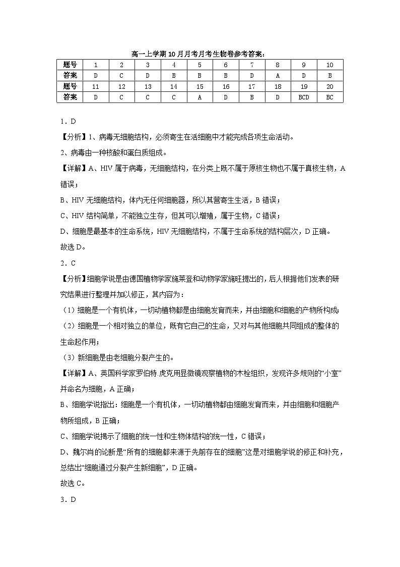 广东省汕头市潮南区龙岭中英文学校2024-2025学年高一上学期10月月考生物试题01