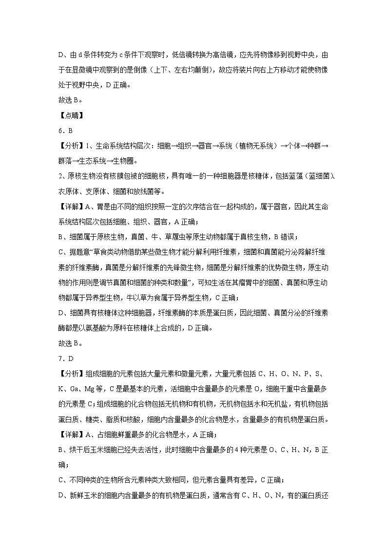 广东省汕头市潮南区龙岭中英文学校2024-2025学年高一上学期10月月考生物试题03