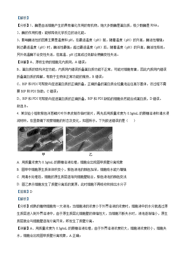 河南省开封尉氏县2024-2025学年高三上学期开学考生物试卷(教师版)第3页