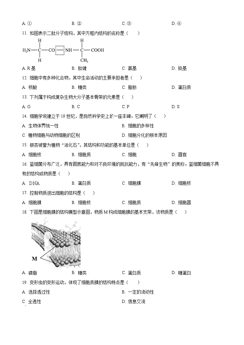 江苏省淮安市涟水县第一中学2024-2025学年高二上学期第一次月考生物试题(学生版)第2页