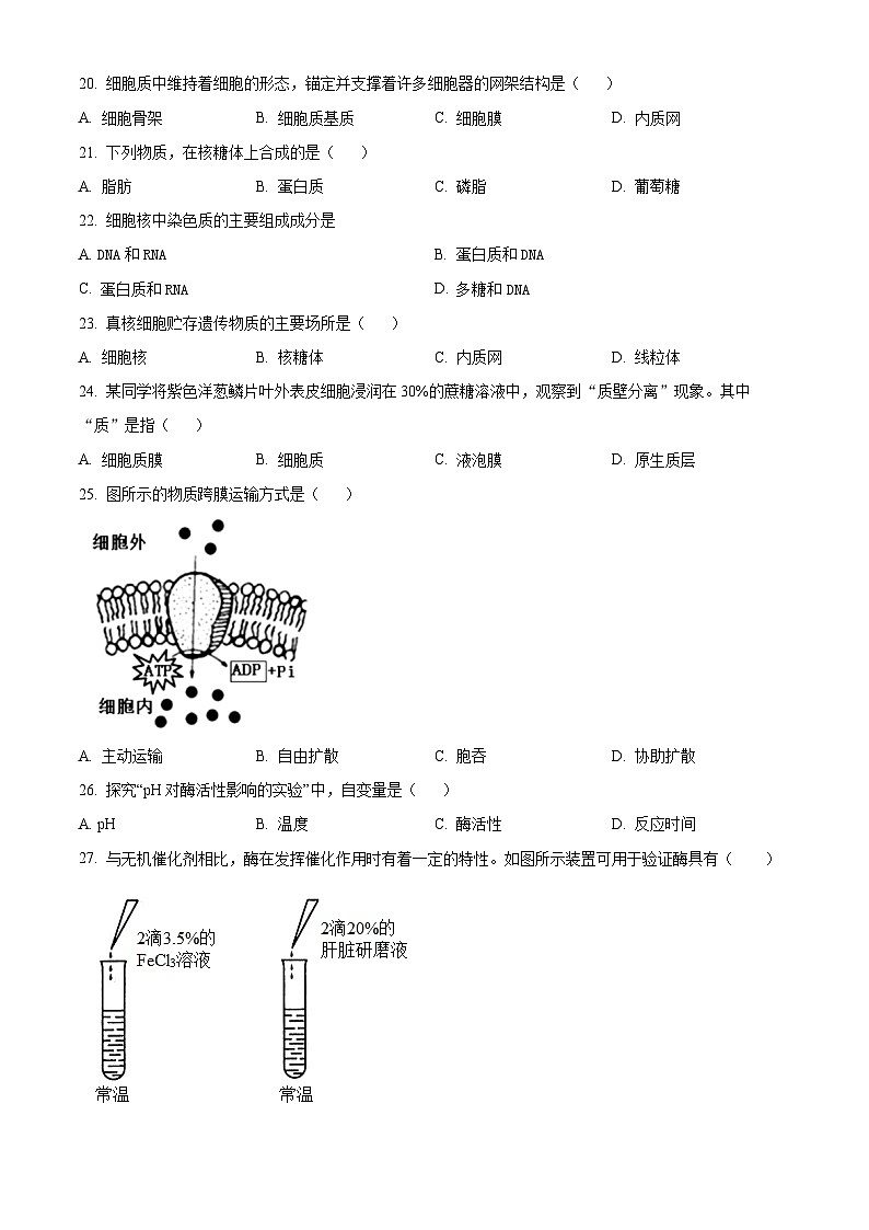 江苏省淮安市涟水县第一中学2024-2025学年高二上学期第一次月考生物试题(学生版)第3页