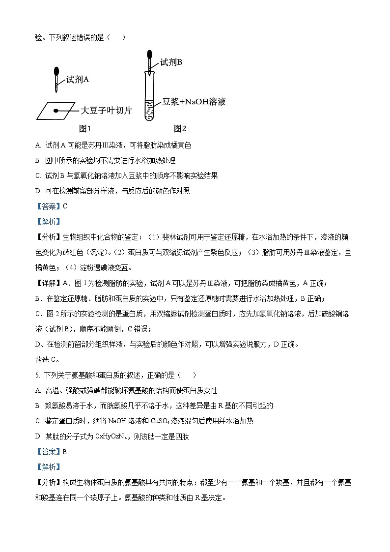 湖南省衡阳市衡阳县部分学校2024-2025学年高一上学期第一次月考生物试题(A卷)(教师版)第3页