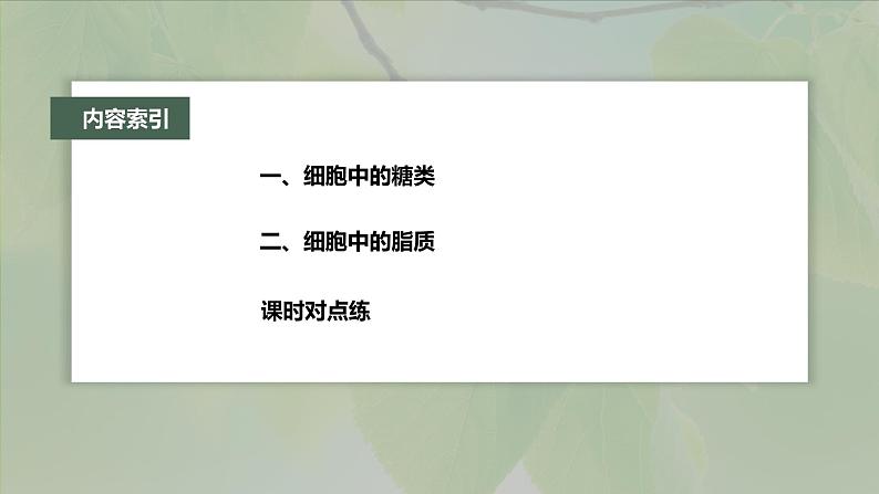 第2章 第3节 细胞中的糖类和脂质第4页