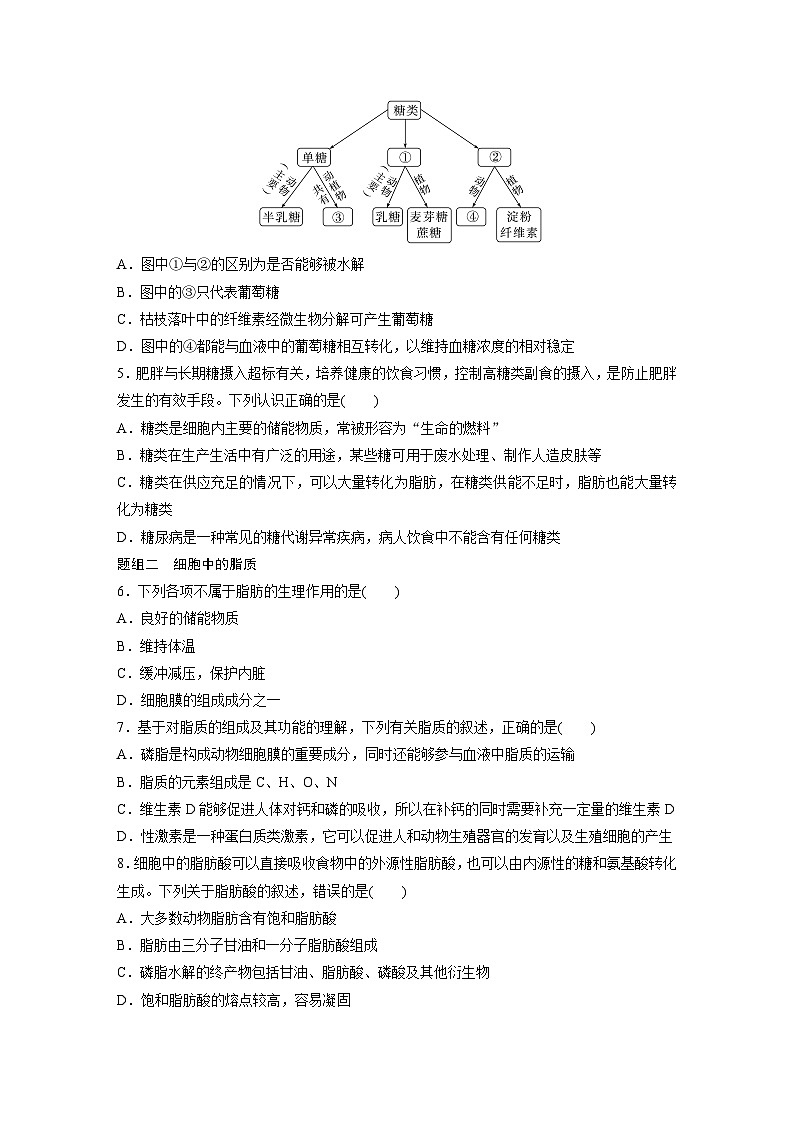 第2章 作业6 细胞中的糖类和脂质(练习)第2页