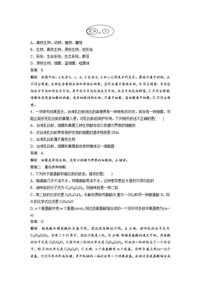 高中生物新教材同步必修第一册课件+讲义 第2章 重点突破练(一)02