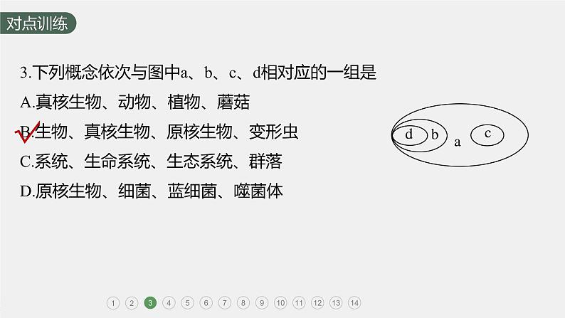 高中生物新教材同步必修第一册课件+讲义 第2章 重点突破练(一)05