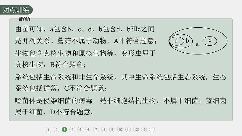 高中生物新教材同步必修第一册课件+讲义 第2章 重点突破练(一)06