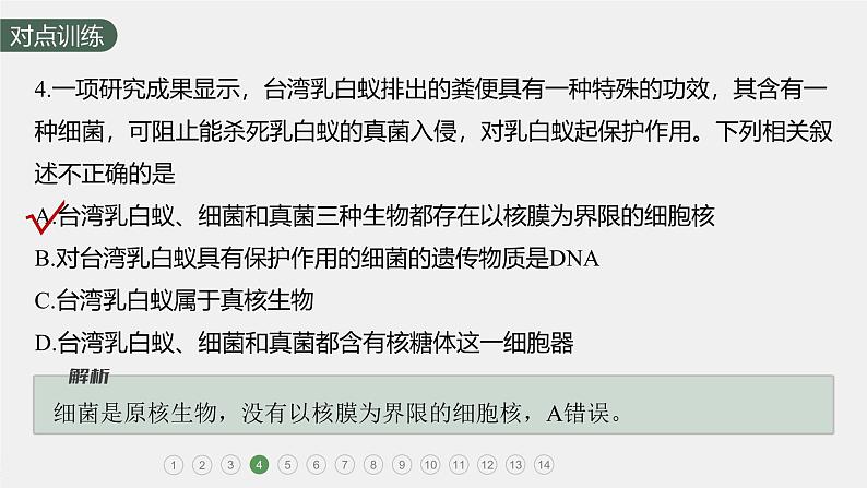 高中生物新教材同步必修第一册课件+讲义 第2章 重点突破练(一)07