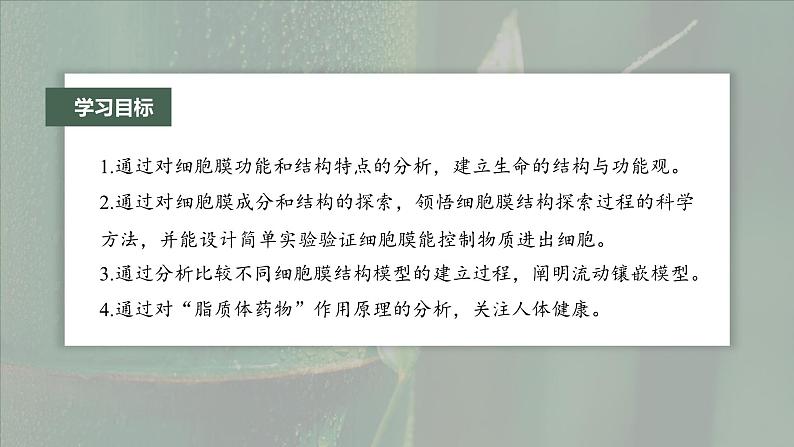 第3章 第1节 细胞膜的结构和功能第3页