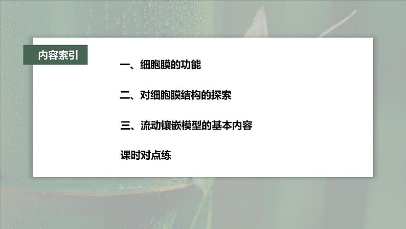 第3章 第1节 细胞膜的结构和功能第4页