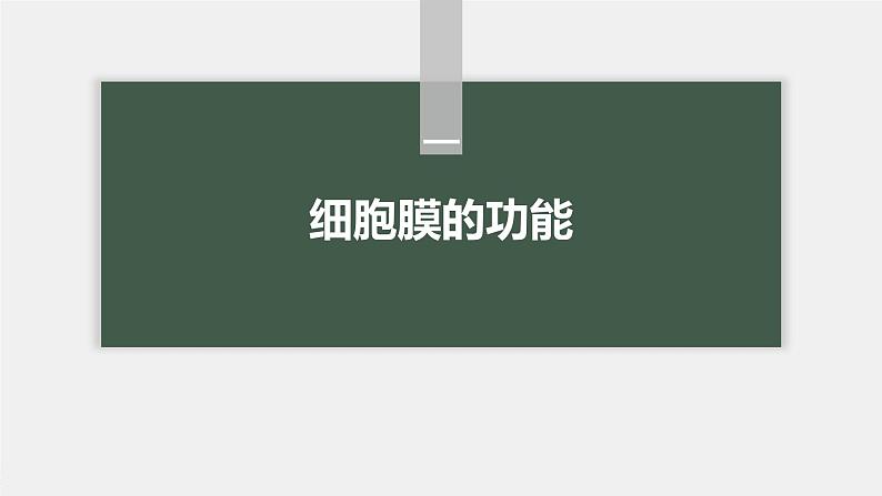 第3章 第1节 细胞膜的结构和功能第5页