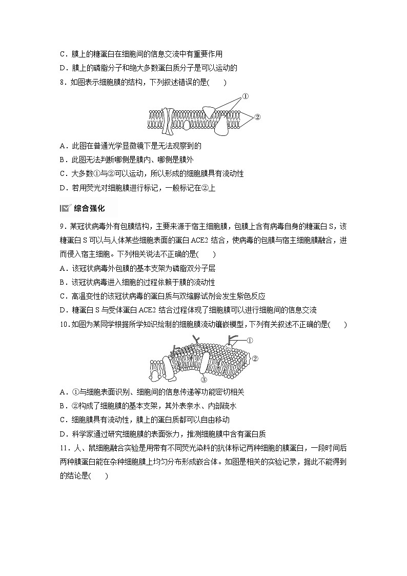 第3章 作业10 细胞膜的结构和功能(练习)第3页