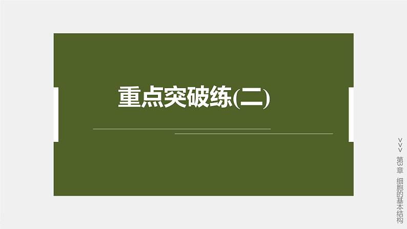高中生物新教材同步必修第一册课件+讲义 第3章 重点突破练(二)02