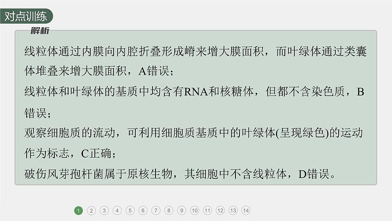 高中生物新教材同步必修第一册课件+讲义 第3章 重点突破练(二)04