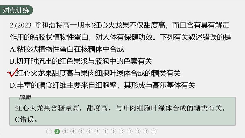 高中生物新教材同步必修第一册课件+讲义 第3章 重点突破练(二)05