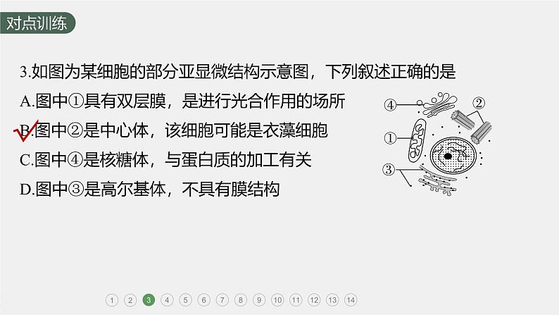 高中生物新教材同步必修第一册课件+讲义 第3章 重点突破练(二)06