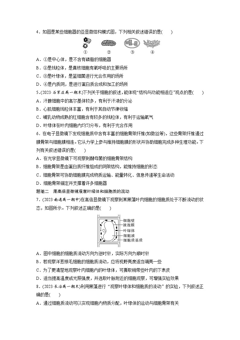 第3章 作业11 细胞器之间的分工(练习)第2页
