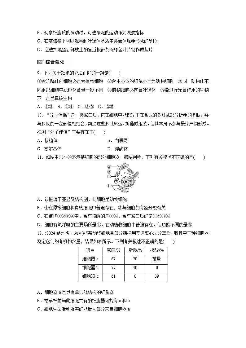 第3章 作业11 细胞器之间的分工(练习)第3页