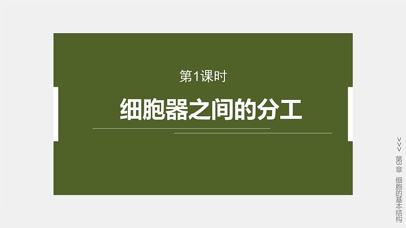 第3章 第2节 第1课时 细胞器之间的分工第2页