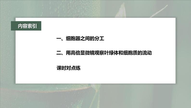 第3章 第2节 第1课时 细胞器之间的分工第4页