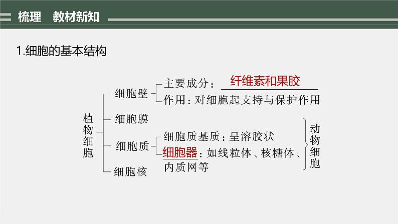第3章 第2节 第1课时 细胞器之间的分工第6页