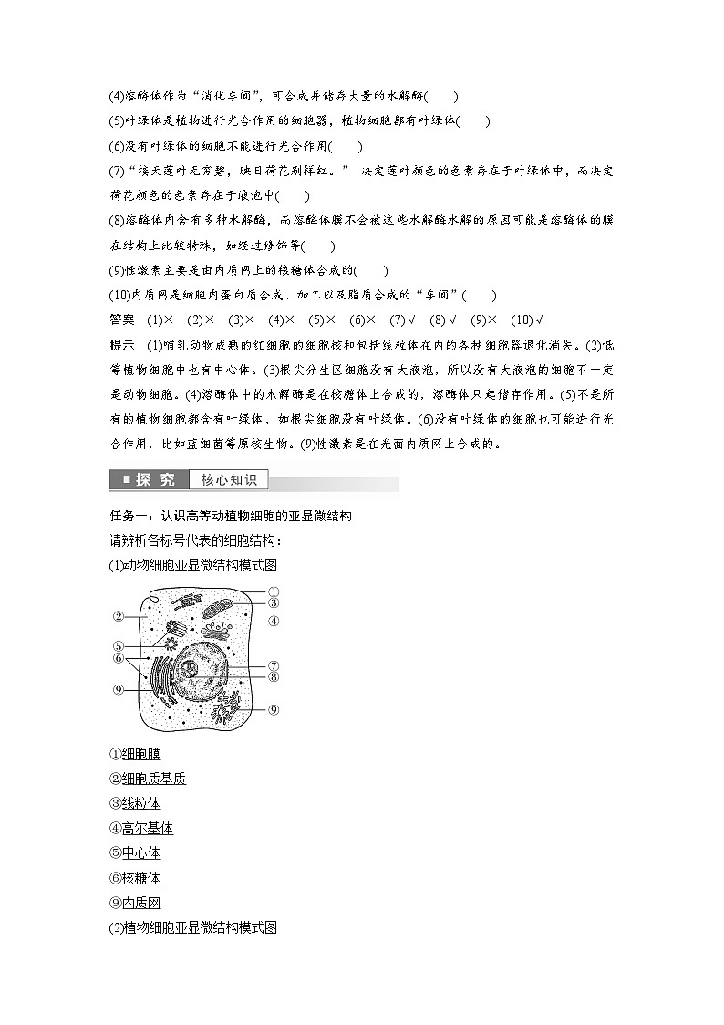 第3章 第2节 第1课时 细胞器之间的分工(教师版)第3页