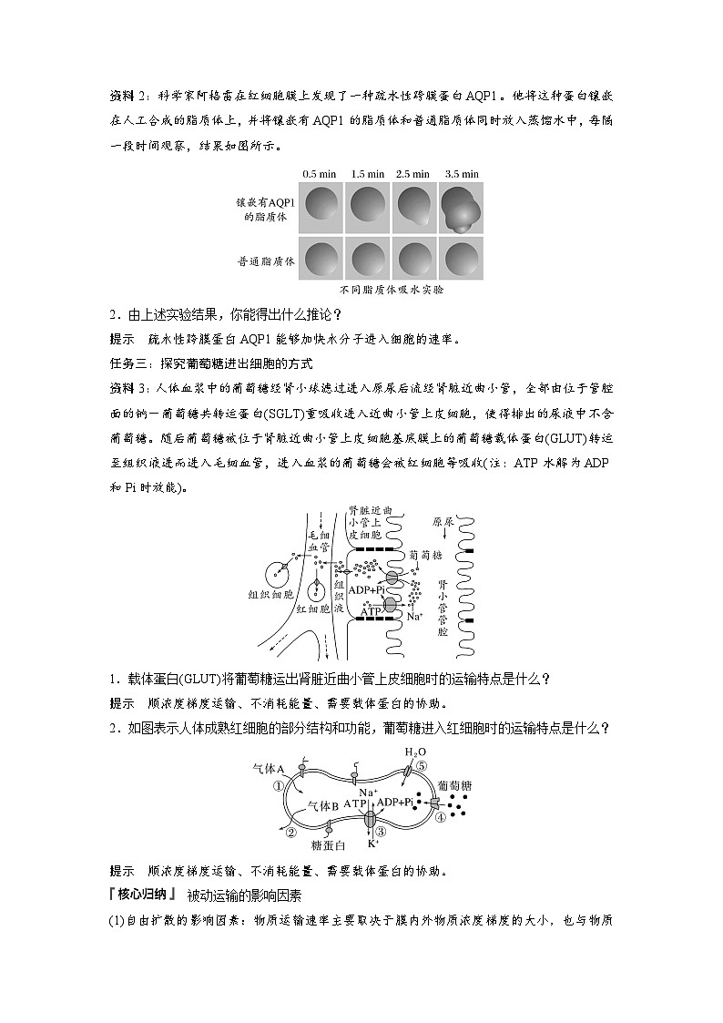 第4章 第1节 第2课时 被动运输(教师版)第3页