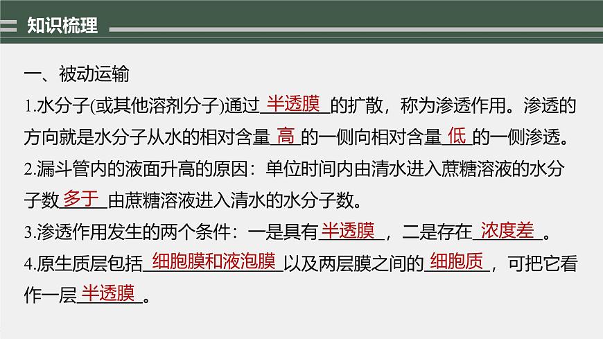 主干知識(shí)排查(第4章)第3頁(yè)