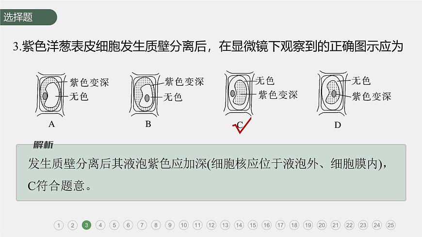 章末檢測(cè)試卷(第4章)第7頁(yè)