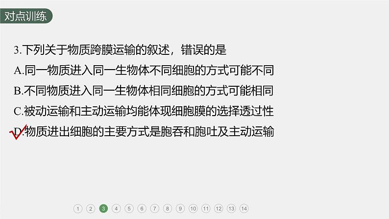 高中生物新教材同步必修第一册课件+讲义 第4章 重点突破练(三)06