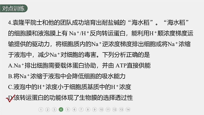 高中生物新教材同步必修第一册课件+讲义 第4章 重点突破练(三)08