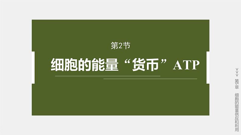 第5章 第2节 细胞的能量“货币”ATP第2页