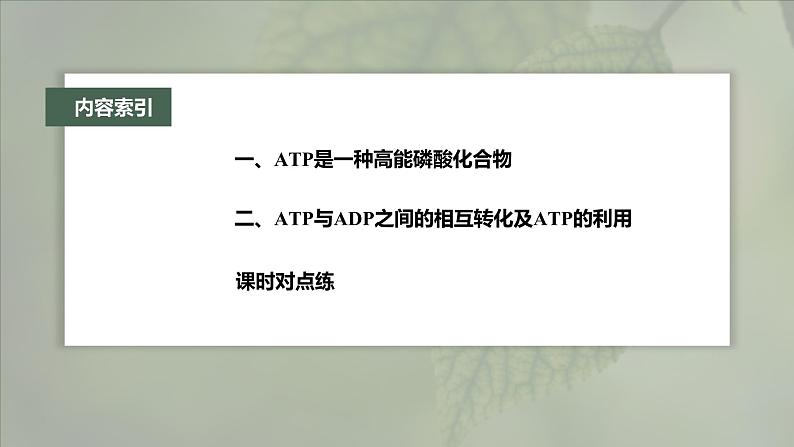 第5章 第2节 细胞的能量“货币”ATP第4页
