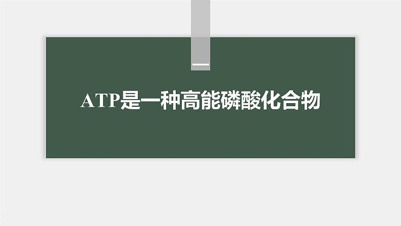 第5章 第2节 细胞的能量“货币”ATP第5页