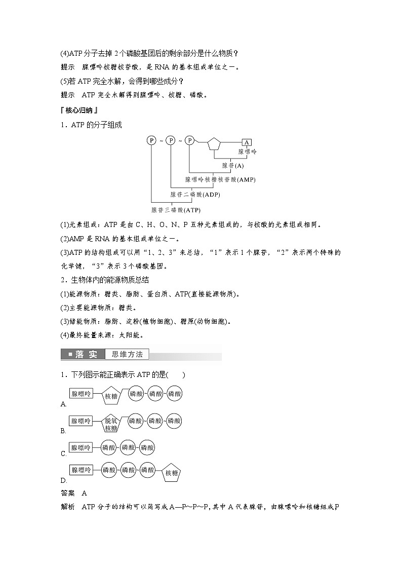 第5章 第2节 细胞的能量“货币”ATP(教师版)第3页