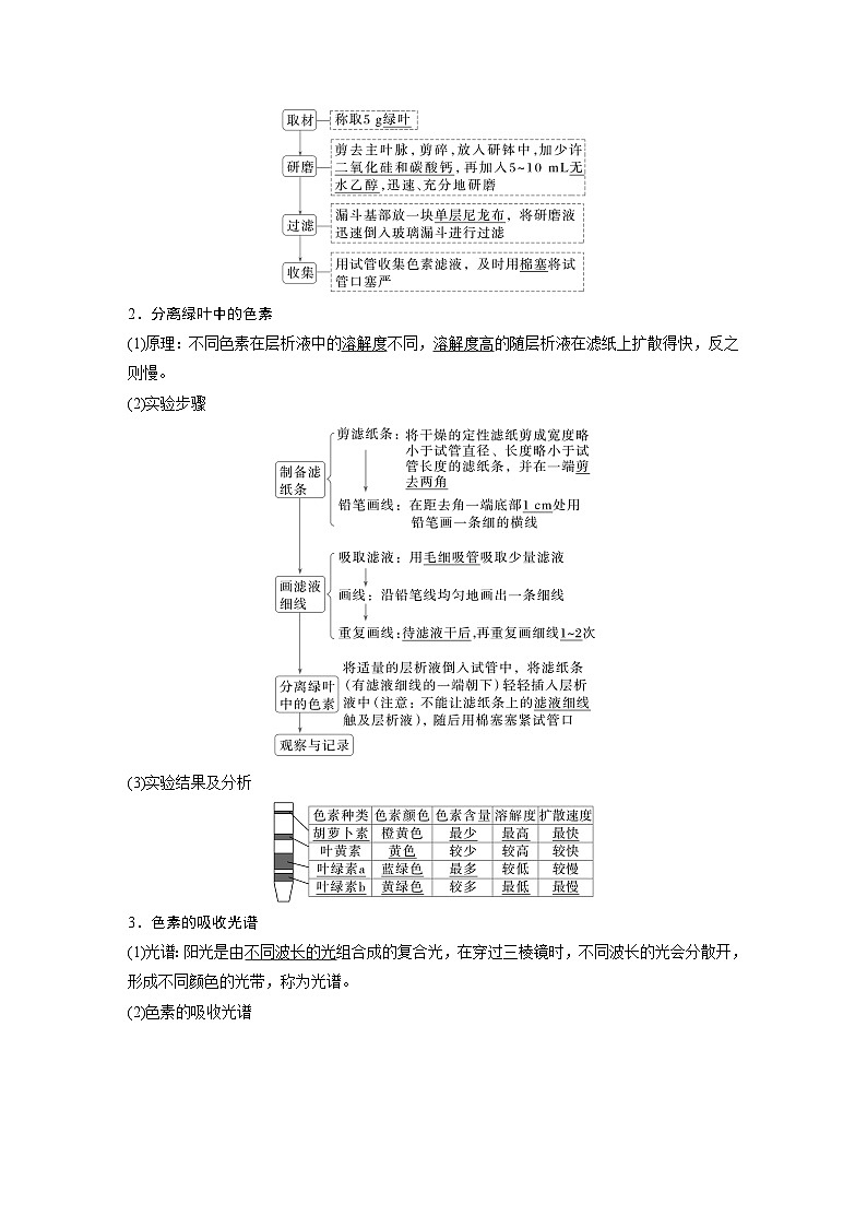 第5章 第4节 第1课时 捕获光能的色素和结构(教师版)第2页