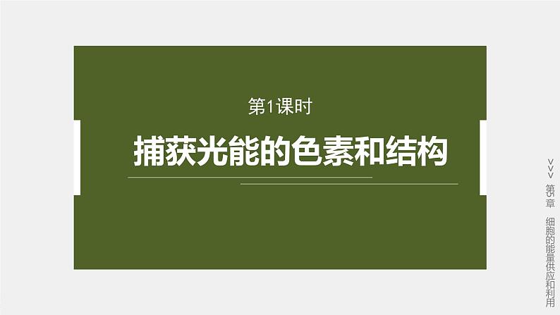 第5章 第4节 第1课时 捕获光能的色素和结构第2页