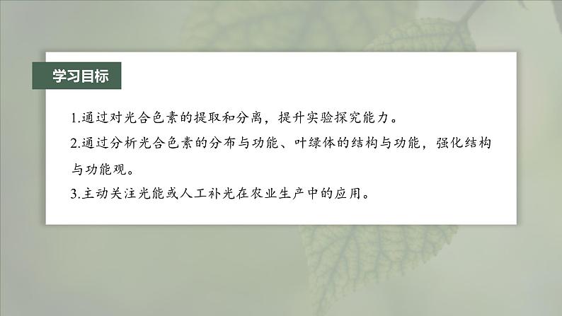 第5章 第4节 第1课时 捕获光能的色素和结构第3页